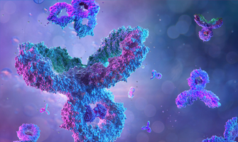 High Throughput Sample Analysis Using Gyrolab - Case Study • Frontage ...